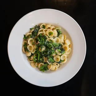 ORECCHIETTE PASTA