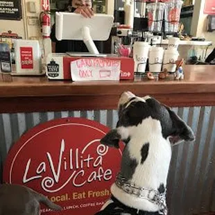 Dog Friendly!