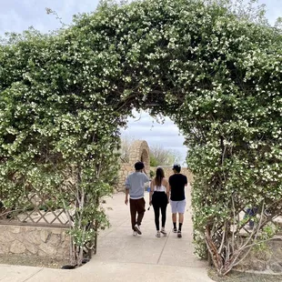 Heading to their back patio and field