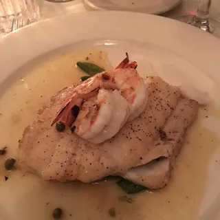 Pesce del Giorno