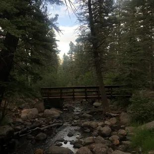 Riverbank beside day picnic areas.