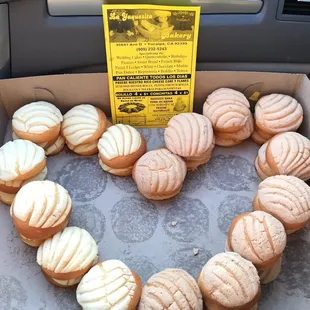 We love the conchas.