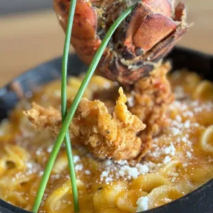 a lobster and macaroni dish