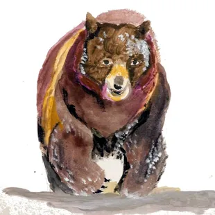 acrylic brown bear on water color paper