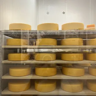 Cheeeeeeese!
