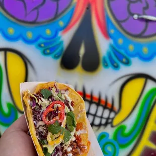 a hand holding a taco