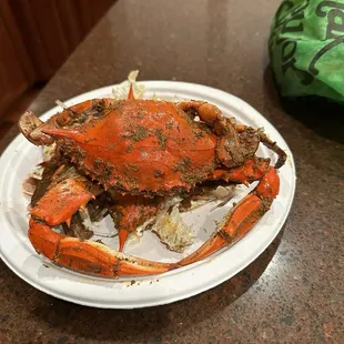 Crabs crabs and more crabs..