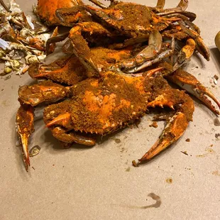Medium Male Crabs