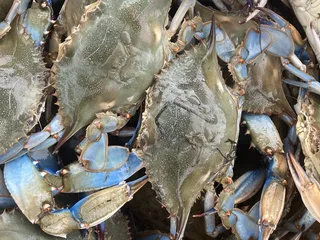 Smacking Seafood  - Baltimore