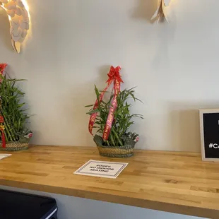 Plants