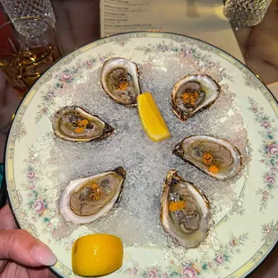Half dozen oysters