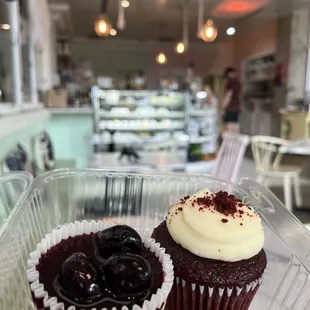 two cupcakes