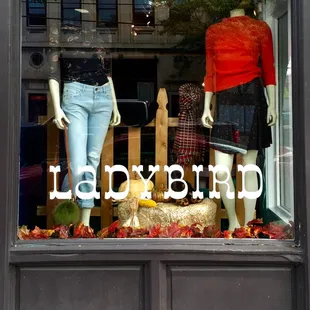 Feels like Fall! New shipments arriving each week - come by the store to kick off Fall 2016.