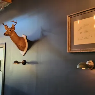 a deer head mounted on the wall