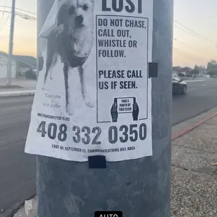 Looking for a Laura Marie Zamora posted on San Jose California Bellingham Avenue around the corner from your house.