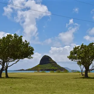 Viewing Mokoli'i (aka Chinaman Hat) from the park.