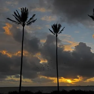 Laenani Park Sunrise, O'ahu Hawaii