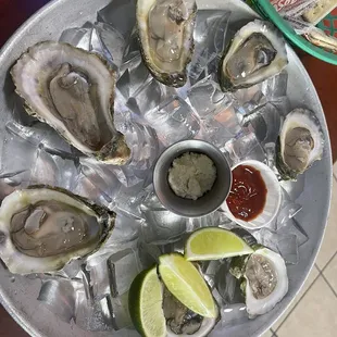 Oysters on the half shelf with my own mixed horsey cocktail sauce!