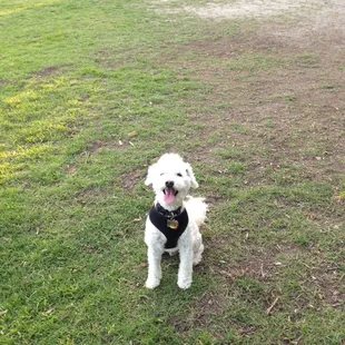 Jumps and up and over in the background.