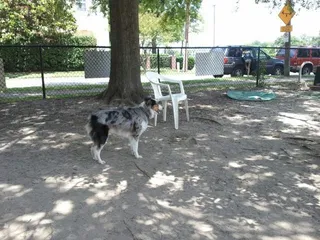 Colonial Place Greenway Dog Park