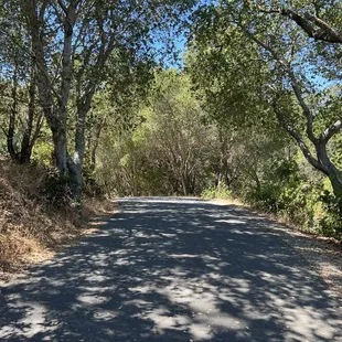 This is the Lakeside Nature Trail - 2.7 miles of paved walkway around the reservoir - a mix of open and shaded space.  Popular for walks.