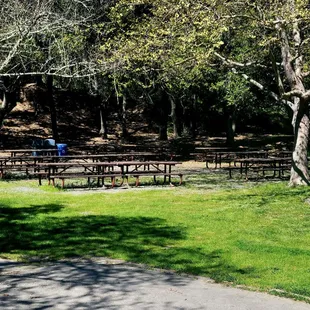 Lots of picnic tables