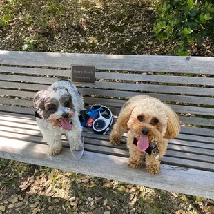 Bench for taking a break