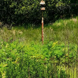 Bird house