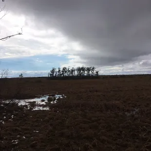 Didn't see this coming