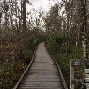 Really nice walking paths