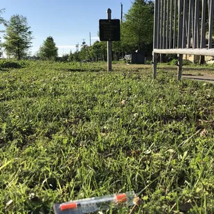 'Give nature a chance' according to the sign.