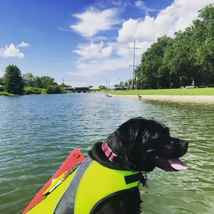 Bayou St. John along the Lafitte Greenway.
