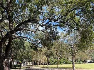 Washington Square Park