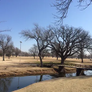 Just visiting from Seattle. Not as green as I'm used to, but still a pleasant trail run on a nice day.