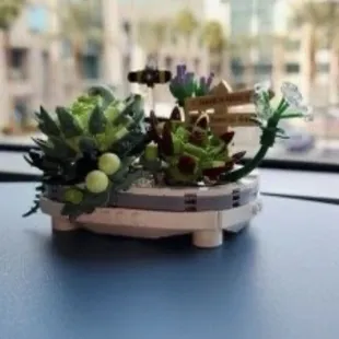 a miniature boat with succulents