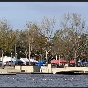 Lafreniere Park Farmers Arts Market  Every Wednesday 2:00-7:00