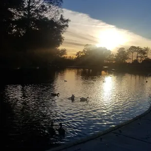 Standing near the bridge to the bird sanctuary