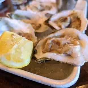 Fresh raw oysters. Pairs of Blackberry (VA, $2.75 each), Whitestone (VA, $3.25 each), and Smith Point (WA, $3.00 each).