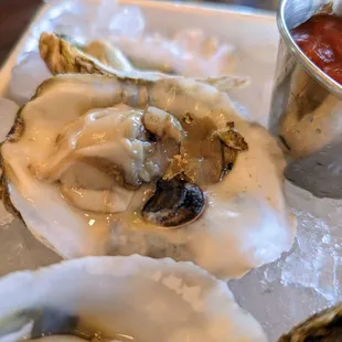 Fresh raw oysters. Pairs of Blackberry (VA, $2.75 each), Whitestone (VA, $3.25 each), and Smith Point (WA, $3.00 each).