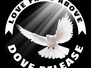 Love From Above Dove Release