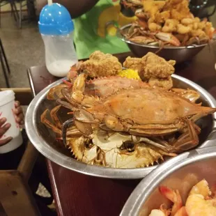 oysters and mussels, food