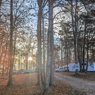 a dirt road in the woods