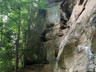 Muir Valley