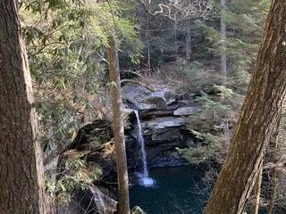 Flat Lick Falls