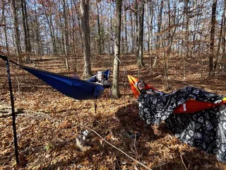 Koomer Ridge Campground