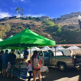 Small but cute with a little bit of everything