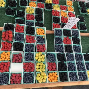 beautiful fresh berries