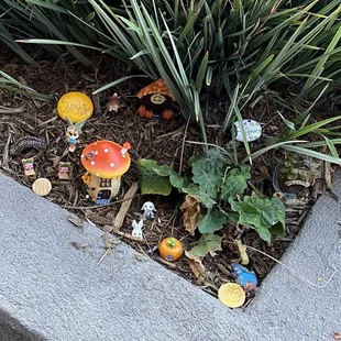 Fairy Garden