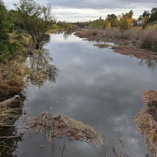 Laguna Creek Wildlife Park