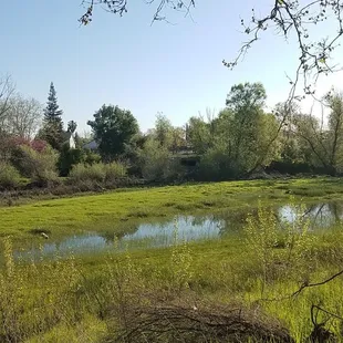 Fresh Easter morning